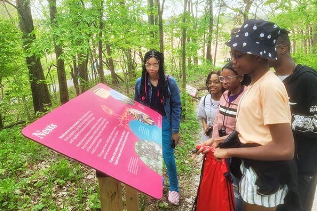 Youth reading a nature info sign in the woods