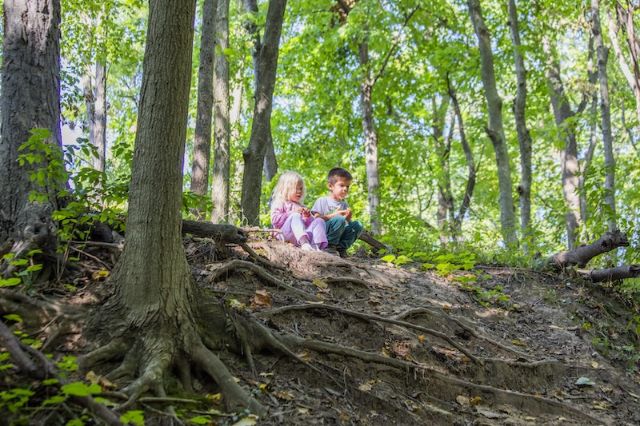 children playing in forest