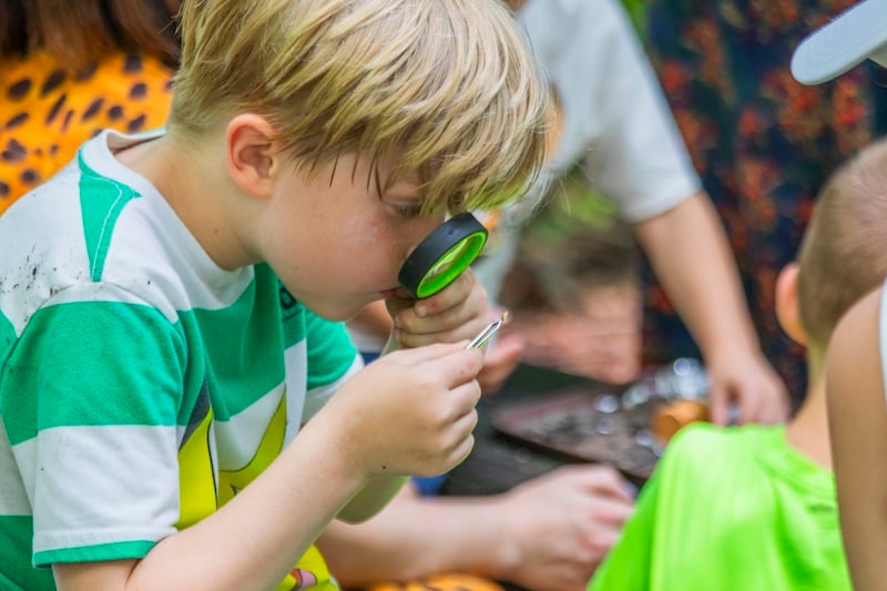 Homeschool Programs