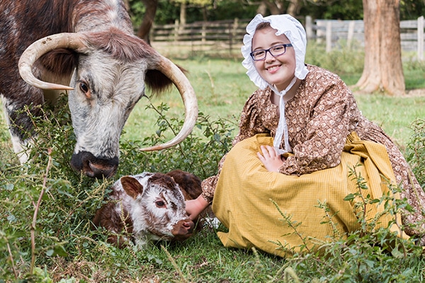 Young volunteer in period attire with a newborn calf