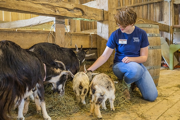 Teen with baby goats