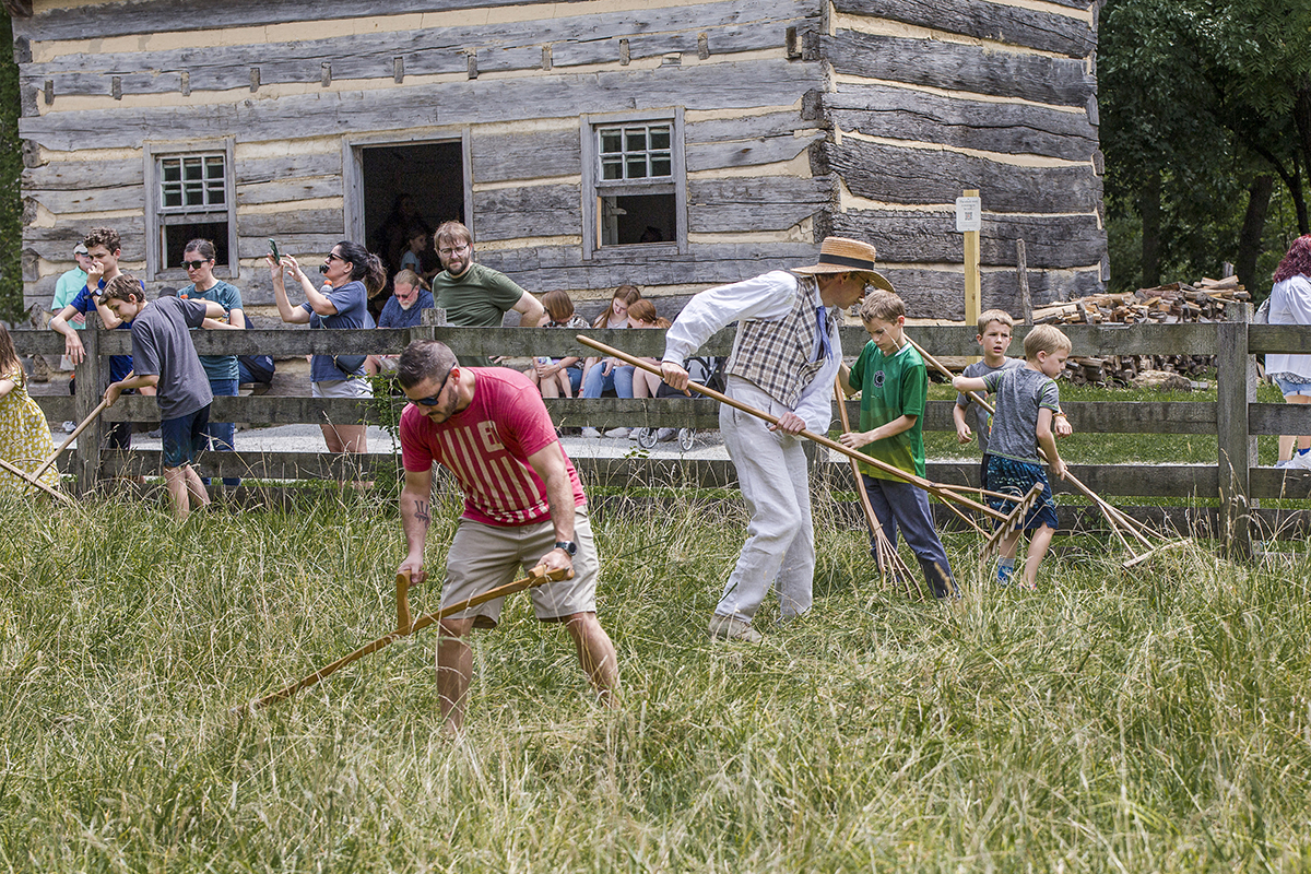 Hay in a Day