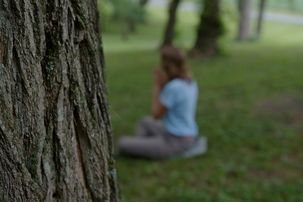 Grounding in Nature: A first-hand account of Forest Therapy