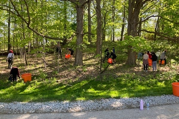 Invading Nature: Exploring the Impact of Invasive Species