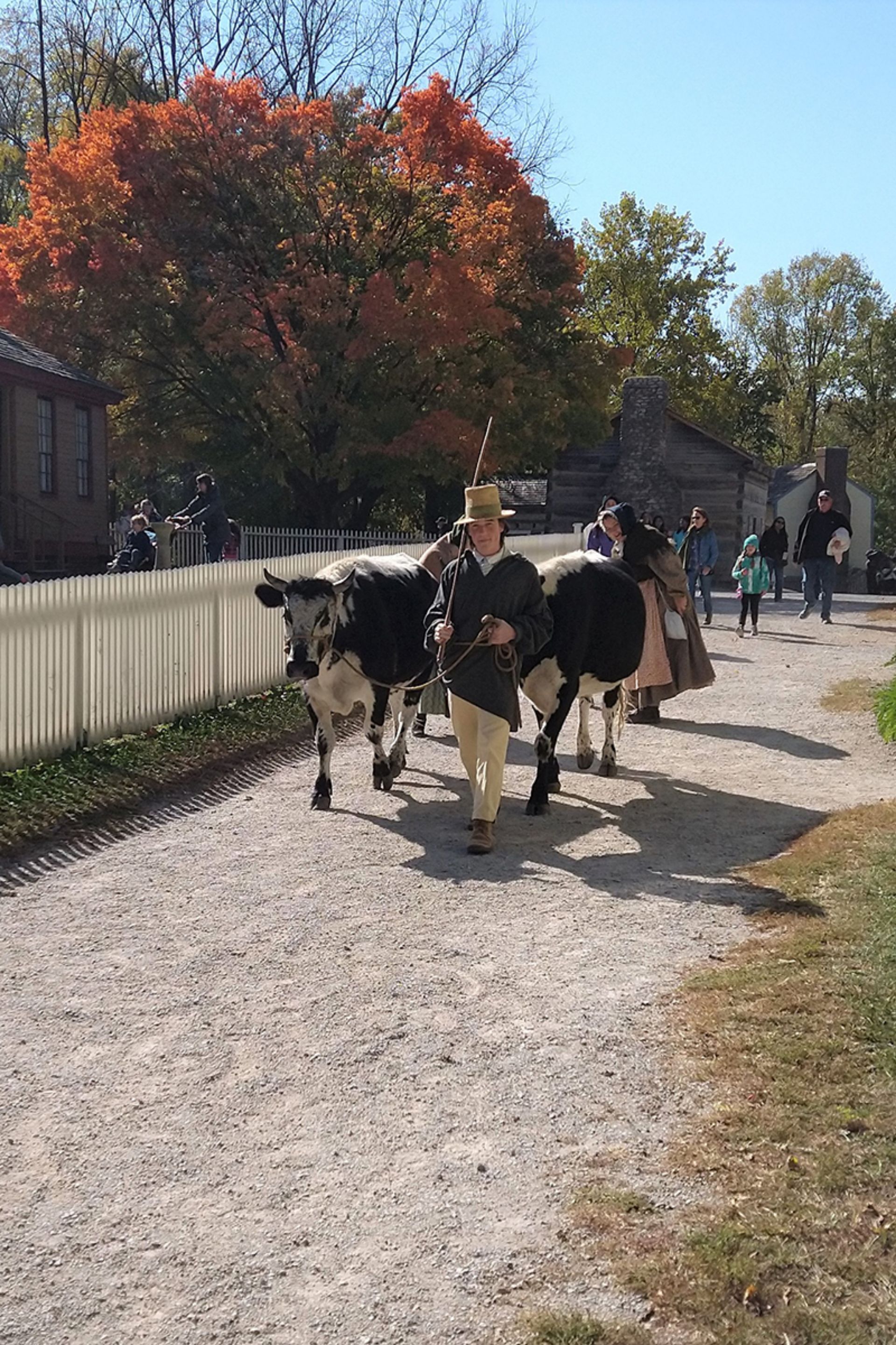 https://assets.speakcdn.com/assets/3053/landon_denison_drives_oxen_(2).jpg