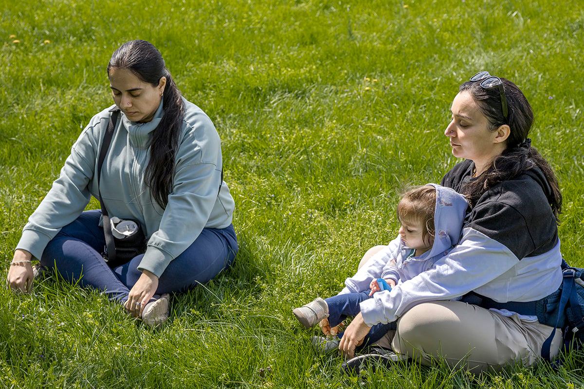 Curious By Nature: Family Friendly Forest Bathing 