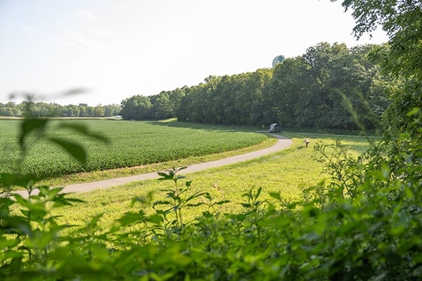 Awakening Your Senses With Forest Therapy