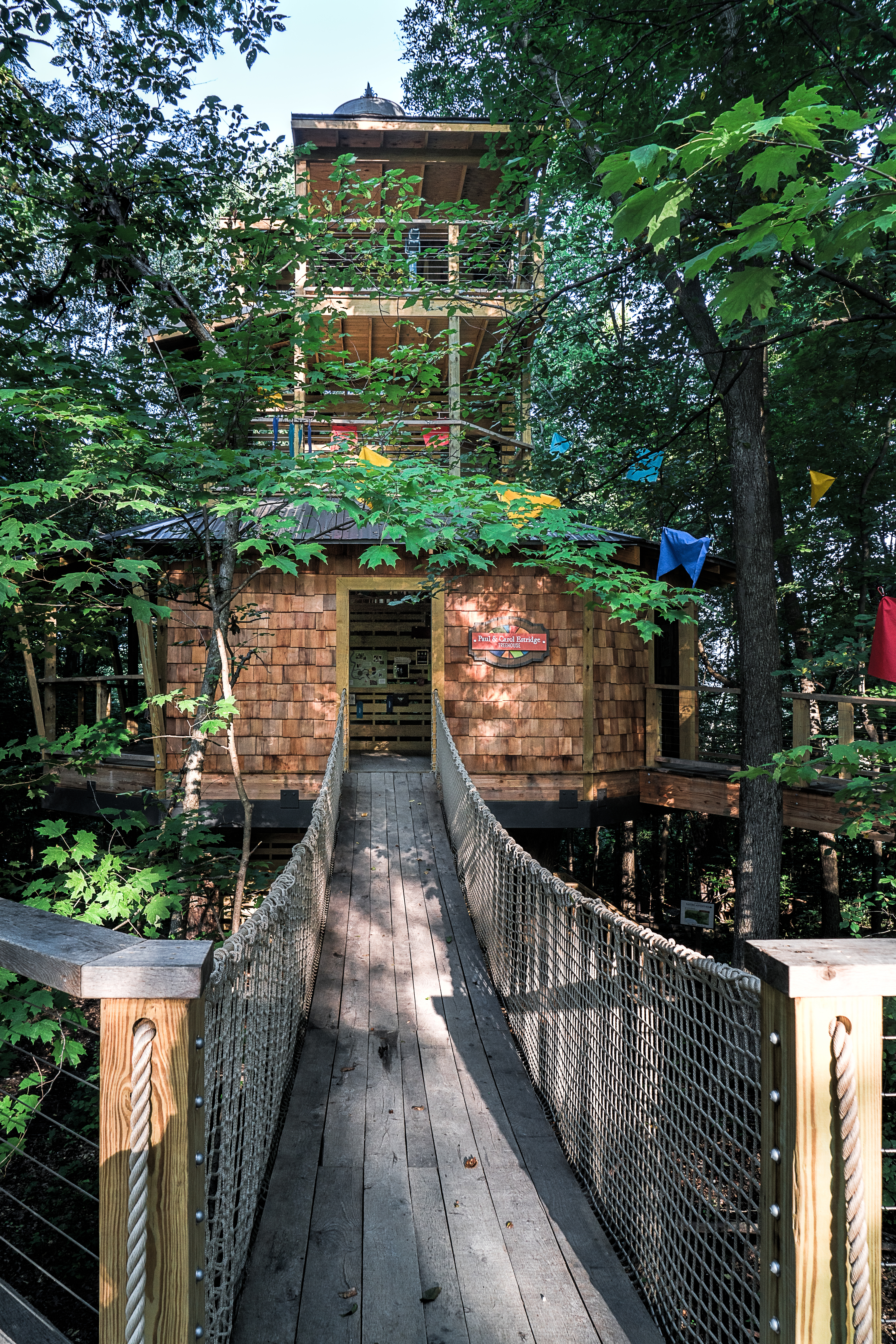 TREETOP OUTPOST