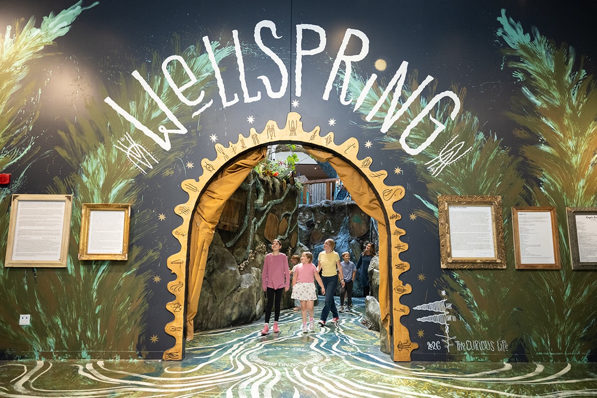 Museum Experience Center