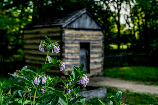 Spring Comes to Conner Prairie