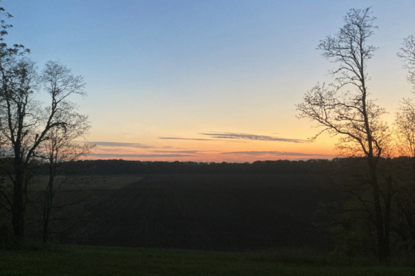 Things That Go Bump in the Night: Nocturnal Animals at Conner Prairie